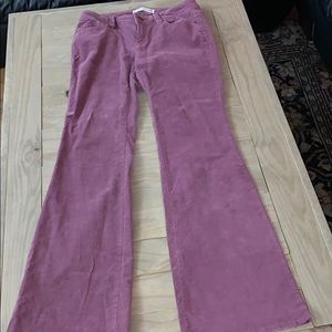 Magenta corduroy flare fit jeans